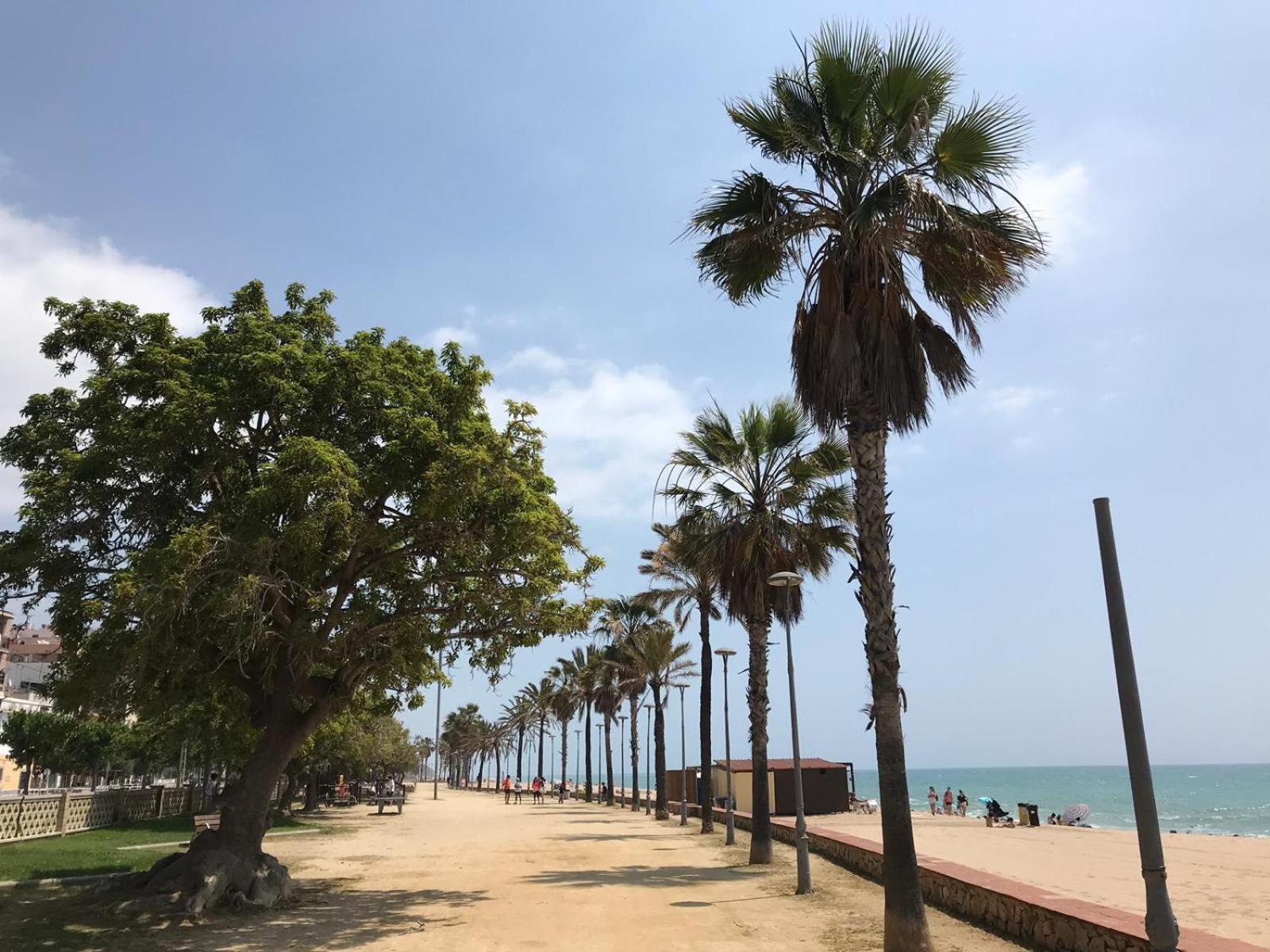 Apartamento Frente Al Mar Canet De Mar Zewnętrze zdjęcie